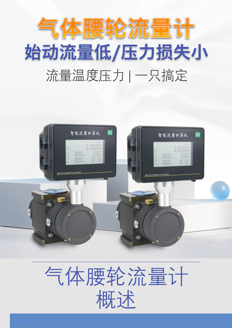 罗茨详情_01.jpg